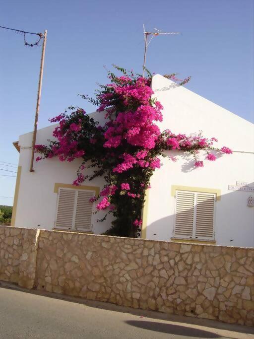 Casa Oliveirinha Βίλα Σάγκρες Εξωτερικό φωτογραφία